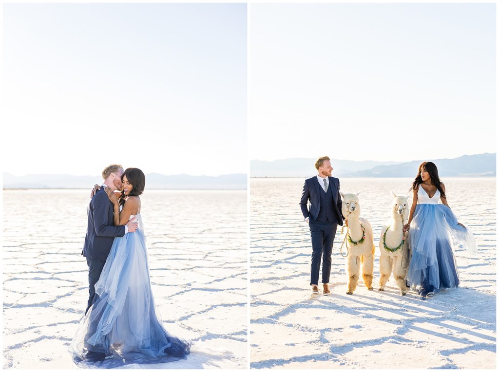 Utah Salt Flat engagement shoot with alpacas
