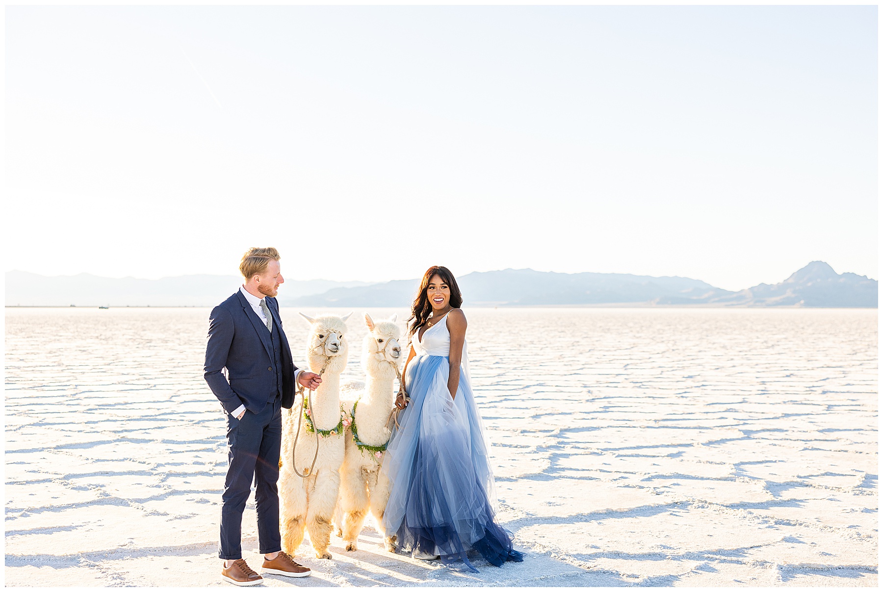 alpaca engagement photoshoot at Utah salt flats